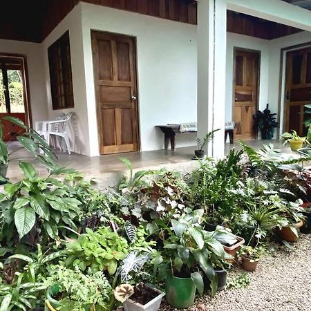 Casa Briza Guest House Никоя Екстериор снимка