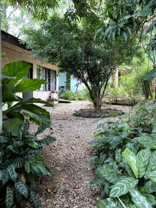 Casa Briza Guest House Никоя Екстериор снимка